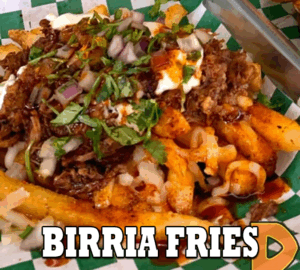 BIRRIA FRIES
