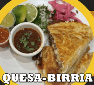 QUESA BIRRIA